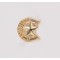 C197S - 5 STAR SERVER PIN